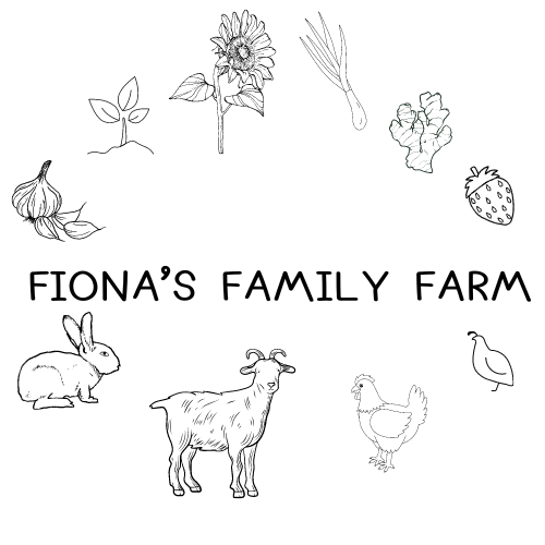 Fiona's Family Farm